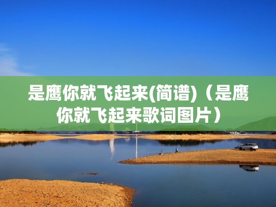 是鹰你就飞起来(简谱)（是鹰你就飞起来歌词图片）