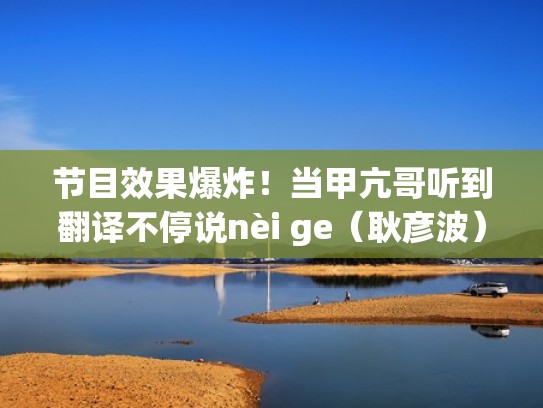 节目效果爆炸！当甲亢哥听到翻译不停说nèi ge（耿彦波）