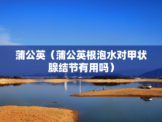 蒲公英（蒲公英根泡水对甲状腺结节有用吗）