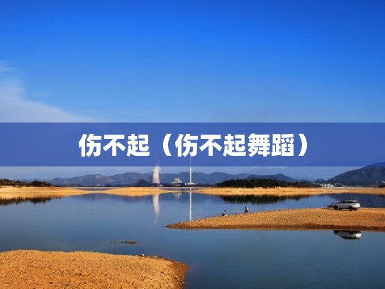 伤不起（伤不起舞蹈）