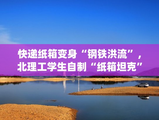 快递纸箱变身“钢铁洪流”，北理工学生自制“纸箱坦克”（纸箱 diy）