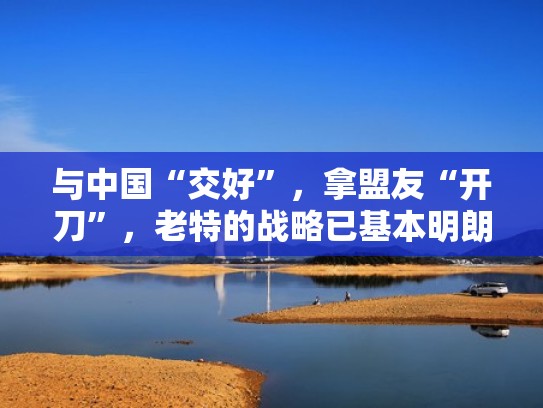 与中国“交好”，拿盟友“开刀”，老特的战略已基本明朗（与中国特别友好的国家有哪些）