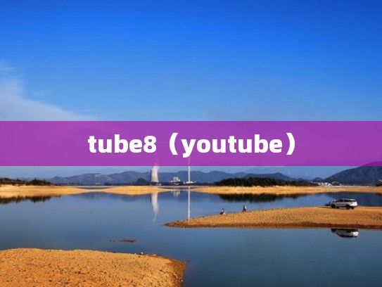tube8（youtube）