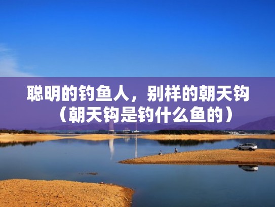 聪明的钓鱼人，别样的朝天钩（朝天钩是钓什么鱼的）