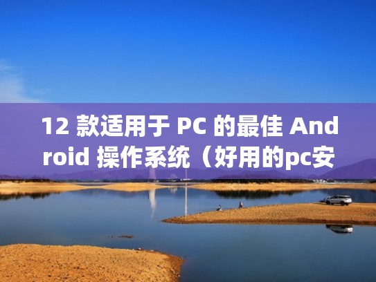12 款适用于 PC 的最佳 Android 操作系统（好用的pc安卓系统）
