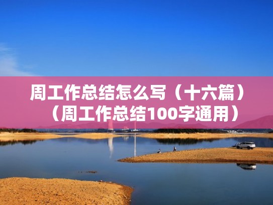 周工作总结怎么写（十六篇）（周工作总结100字通用）