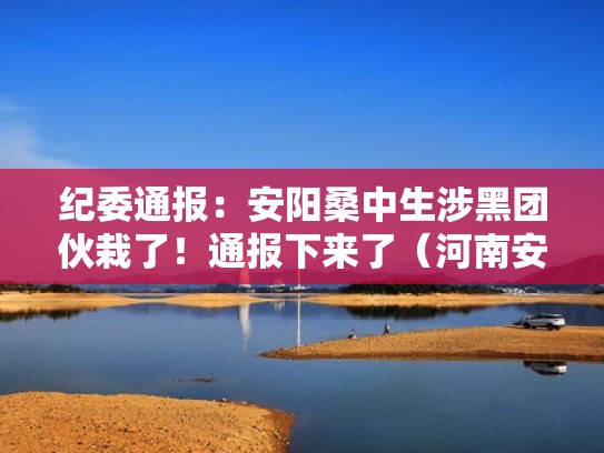 纪委通报：安阳桑中生涉黑团伙栽了！通报下来了（河南安阳桑永斌）