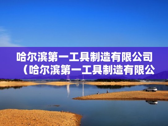 哈尔滨第一工具制造有限公司（哈尔滨第一工具制造有限公司销售公司）