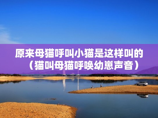 原来母猫呼叫小猫是这样叫的（猫叫母猫呼唤幼崽声音）