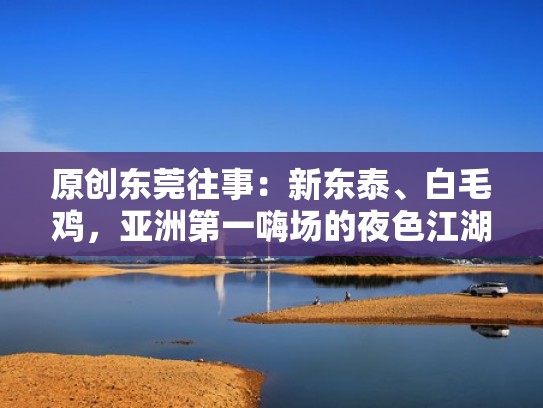 原创东莞往事：新东泰、白毛鸡，亚洲第一嗨场的夜色江湖（曾经的东莞新东泰）