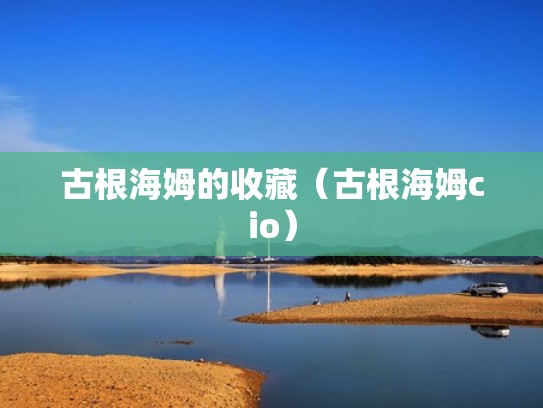 古根海姆的收藏（古根海姆cio）