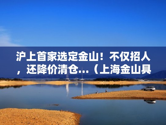 沪上首家选定金山！不仅招人，还降价清仓…（上海金山具体位置）