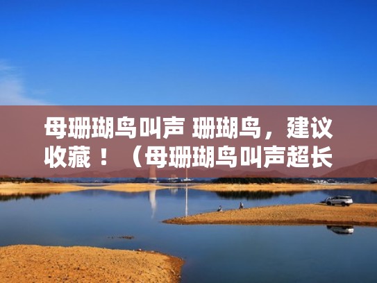 母珊瑚鸟叫声 珊瑚鸟，建议收藏 ！（母珊瑚鸟叫声超长）