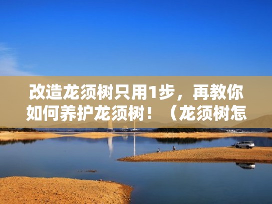 改造龙须树只用1步，再教你如何养护龙须树！（龙须树怎么换盆需要修根吗）