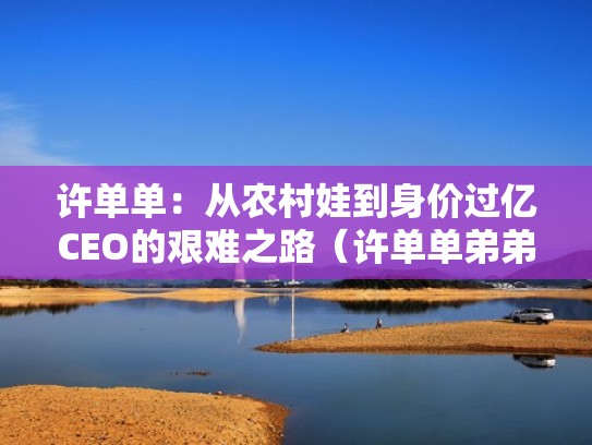 许单单：从农村娃到身价过亿CEO的艰难之路（许单单弟弟）