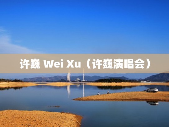 许巍 Wei Xu（许巍演唱会）