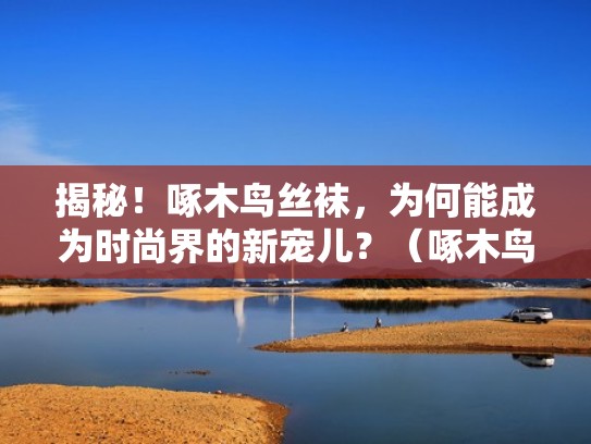 揭秘！啄木鸟丝袜，为何能成为时尚界的新宠儿？（啄木鸟品牌袜子）