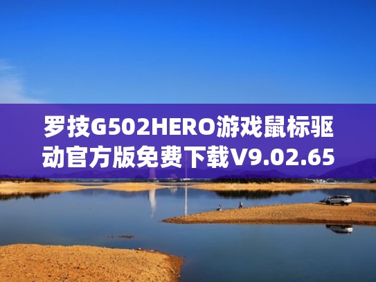 罗技G502HERO游戏鼠标驱动官方版免费下载V9.02.65（罗技g502最新驱动）