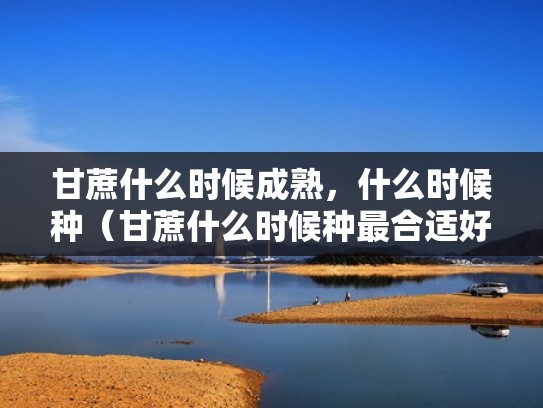 甘蔗什么时候成熟，什么时候种（甘蔗什么时候种最合适好）