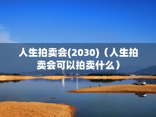 人生拍卖会(2030)（人生拍卖会可以拍卖什么）