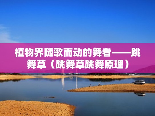 植物界随歌而动的舞者——跳舞草（跳舞草跳舞原理）