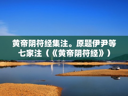 黄帝阴符经集注。原题伊尹等七家注(《黄帝阴符经》) 黄帝阴符经集注。原题伊尹等七家注(《黄帝阴符经》)