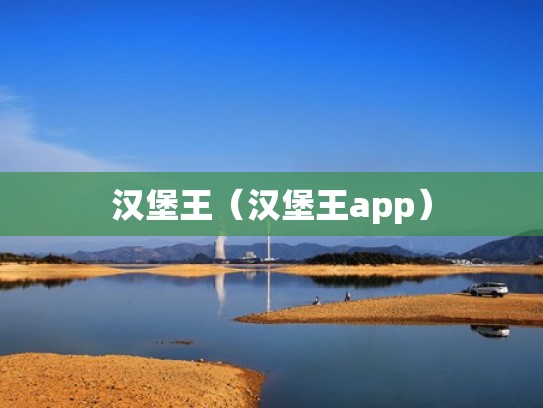 汉堡王（汉堡王app）