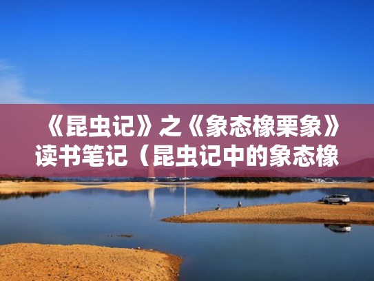 《昆虫记》之《象态橡栗象》读书笔记（昆虫记中的象态橡栗象读后感）