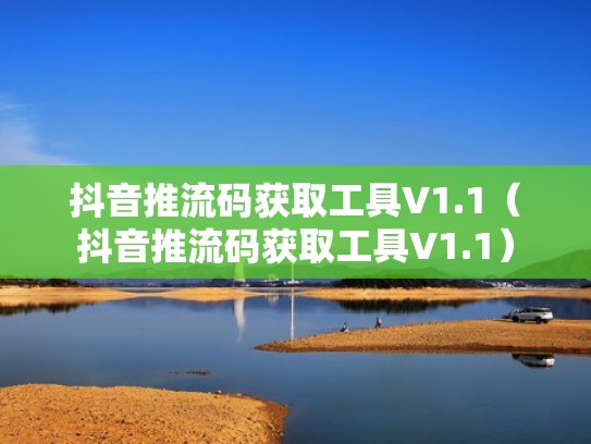 抖音推流码获取工具V1.1（抖音推流码获取工具V1.1）