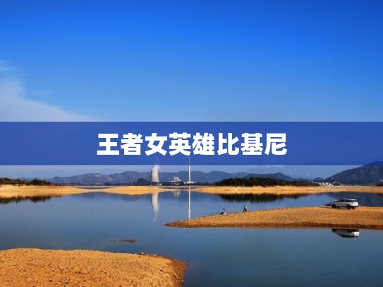 王者女英雄比基尼