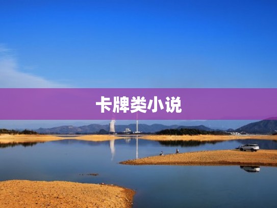 卡牌类小说