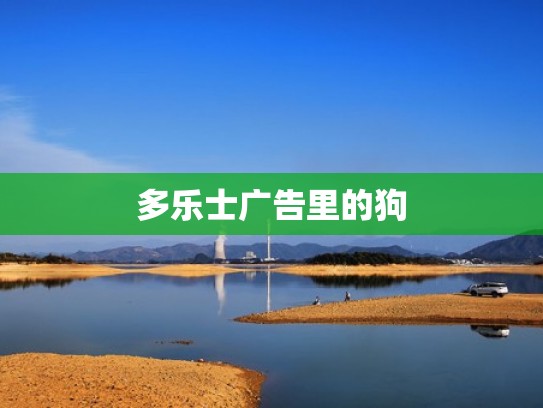 多乐士广告里的狗