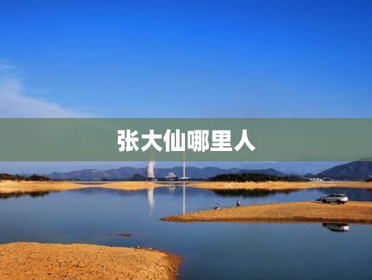 张大仙哪里人