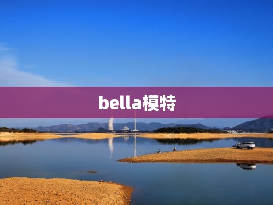 bella模特