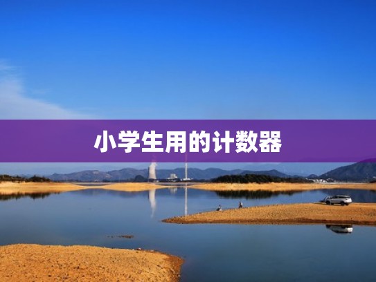 小学生用的计数器