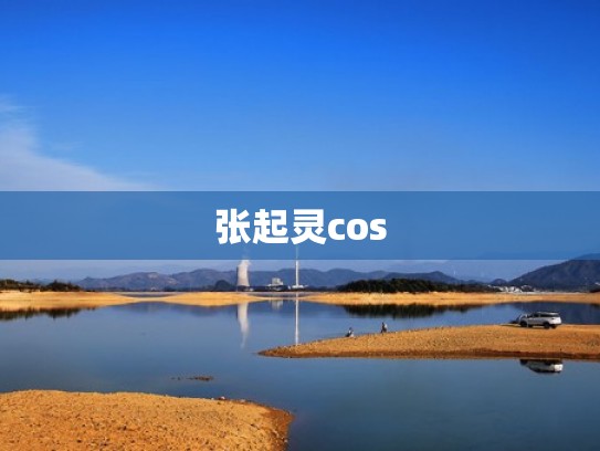 张起灵cos