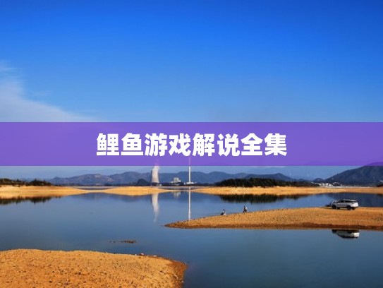 鲤鱼游戏解说全集