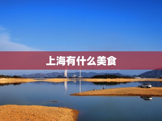 上海有什么美食