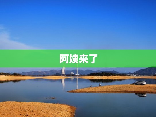 阿姨来了