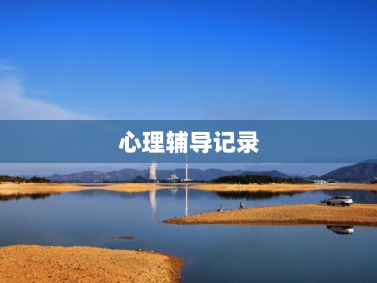 心理辅导记录