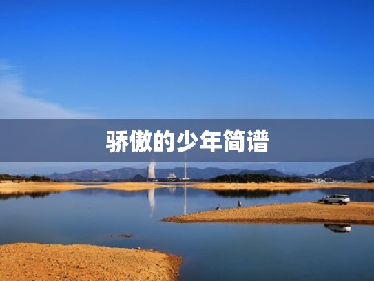 骄傲的少年简谱