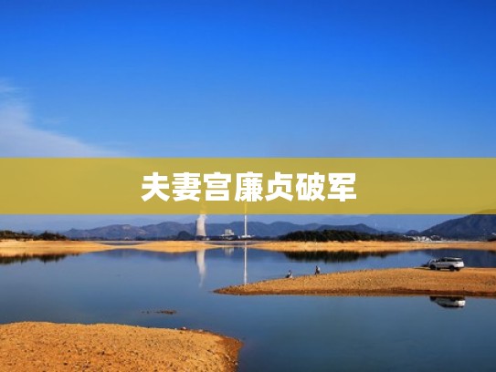 夫妻宫廉贞破军