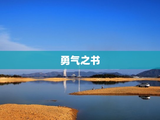 勇气之书
