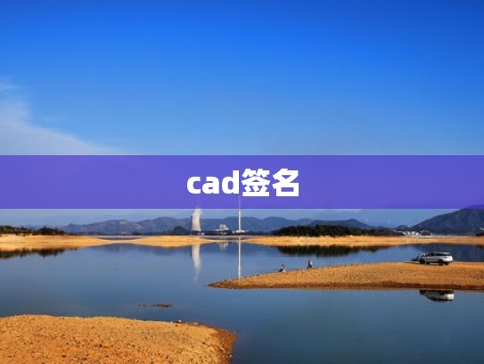 cad签名
