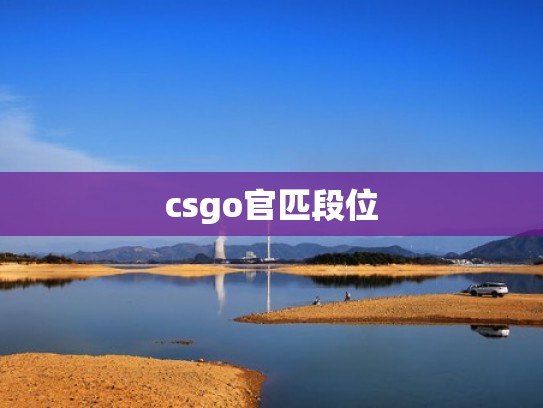 csgo官匹段位