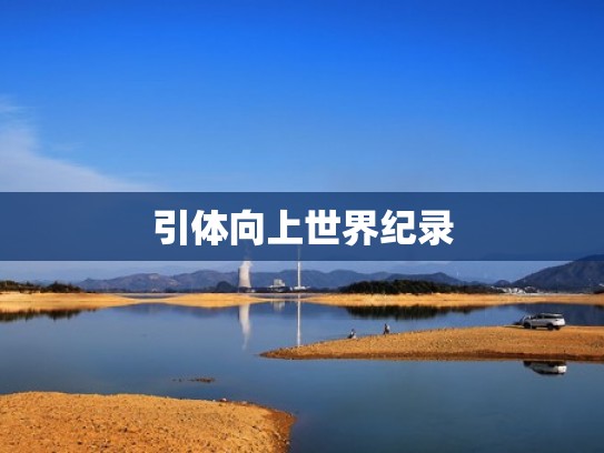 引体向上世界纪录