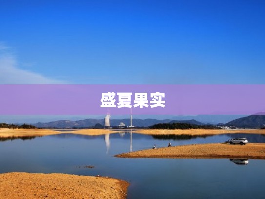 盛夏果实