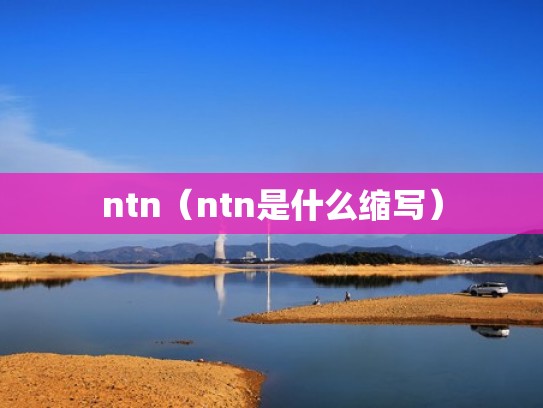 ntn（ntn是什么缩写）