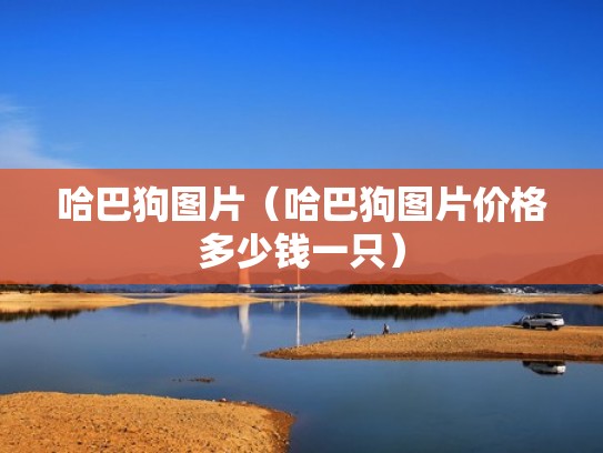 哈巴狗图片（哈巴狗图片价格多少钱一只）