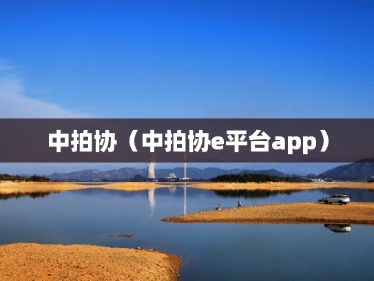 中拍协（中拍协e平台app）